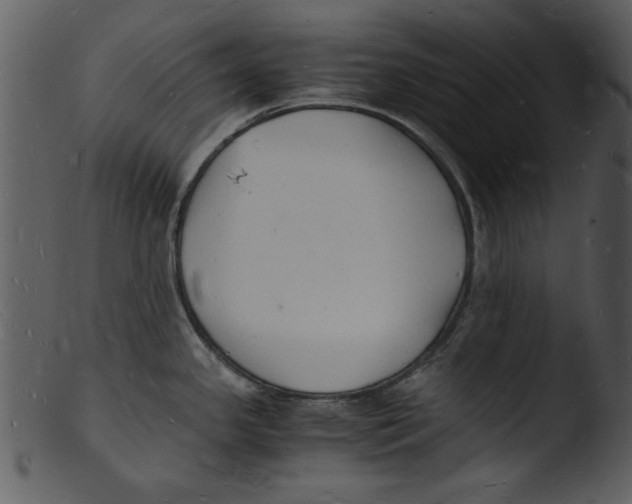 X0000103291341200809261241