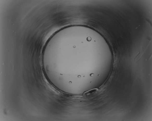 X0000103291342200809261241