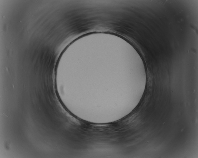 X0000103291343200809261241