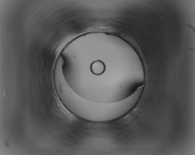 X0000103291344200809261241