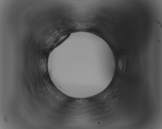 X0000103291348200809261240