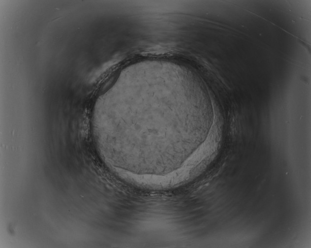 X0000103291350200809261240