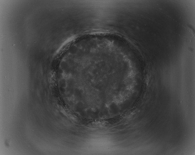 X0000103291351200809261240