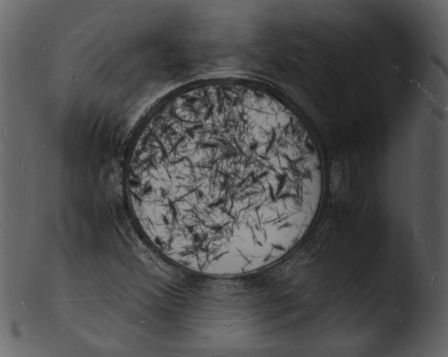 X0000103291356200809261240
