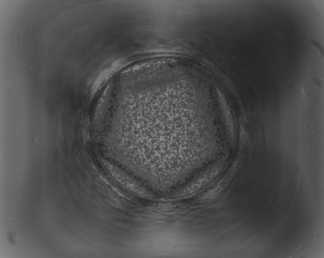 X0000103291357200809261240