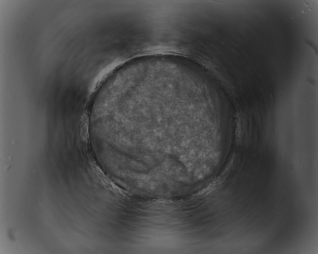 X0000103291358200809261240