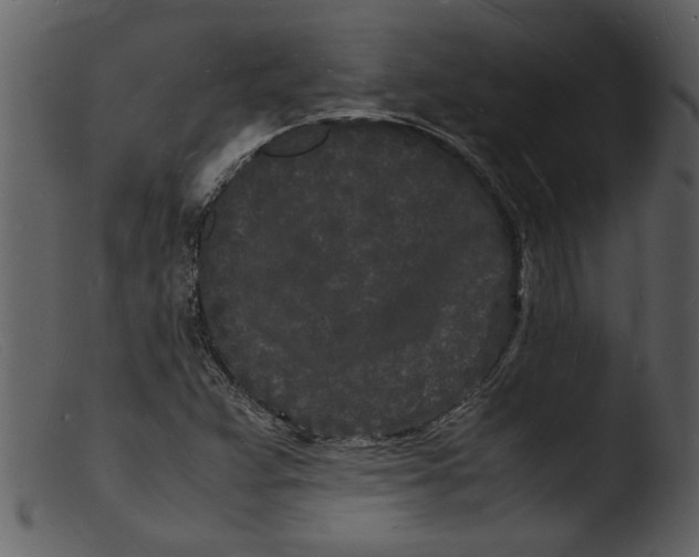 X0000103291359200809261240