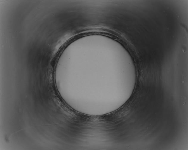 X0000103291360200809261240