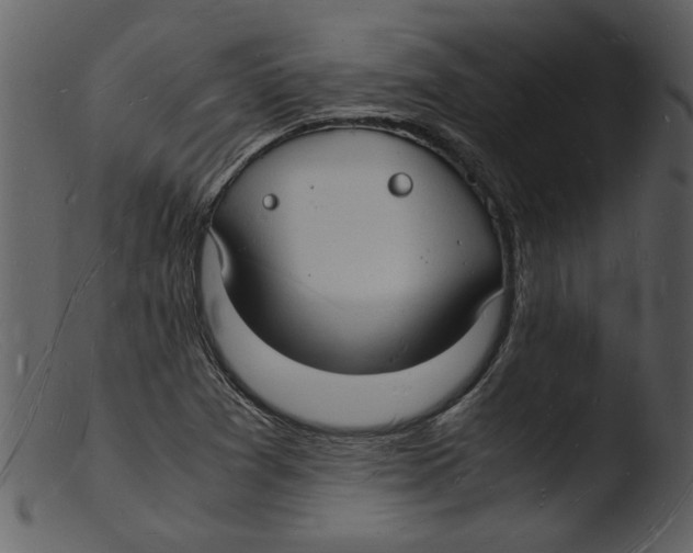 X0000103291361200809261240