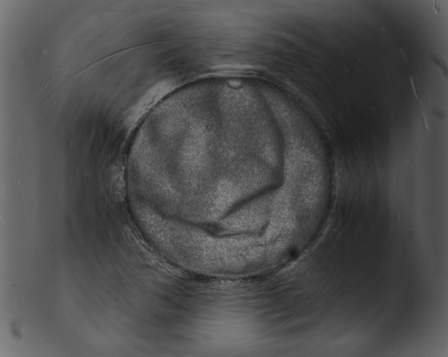 X0000103291362200809261240