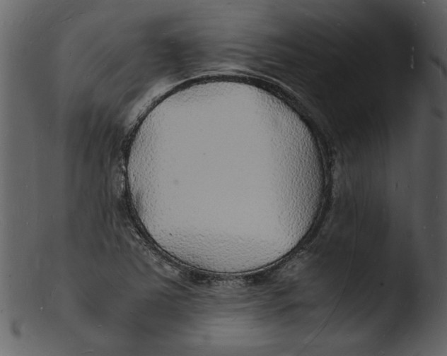 X0000103291363200809261240