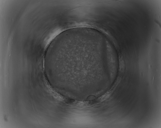 X0000103291365200809261239