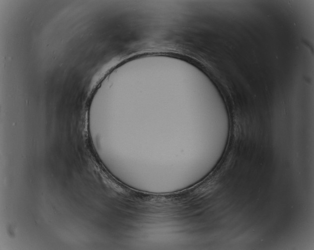 X0000103291366200809261239