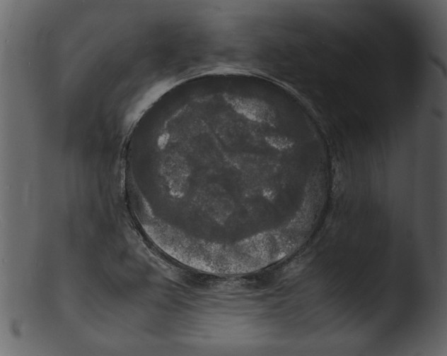 X0000103291367200809261239