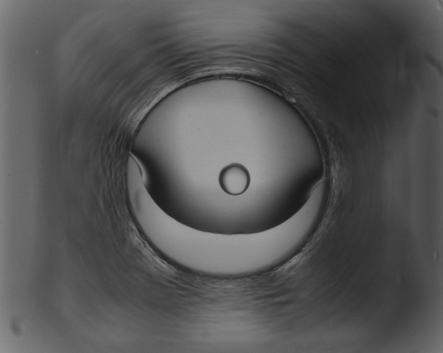 X0000103291369200809261239