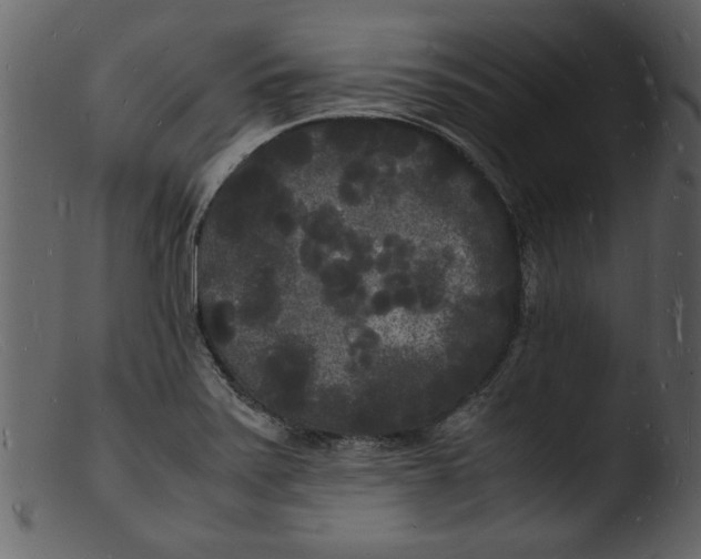 X0000103291371200809261239