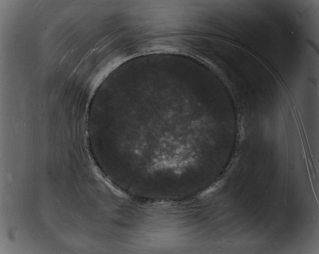 X0000103291373200809261239