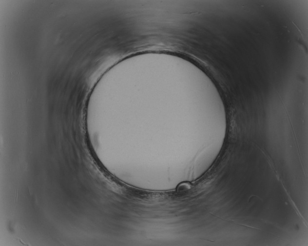 X0000103291375200809261239