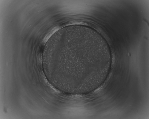 X0000103291377200809261239