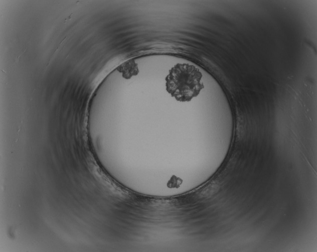 X0000103291378200809261239