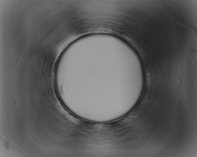 X0000103291379200809261239