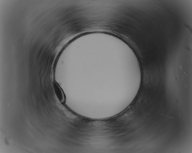 X0000103291380200809261239