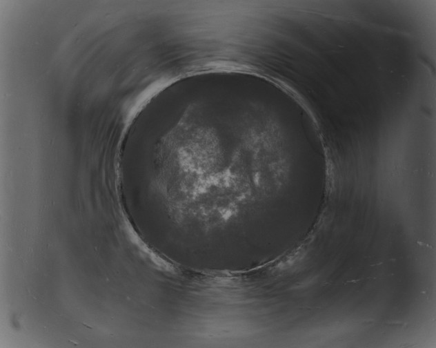 X0000103291381200809261239