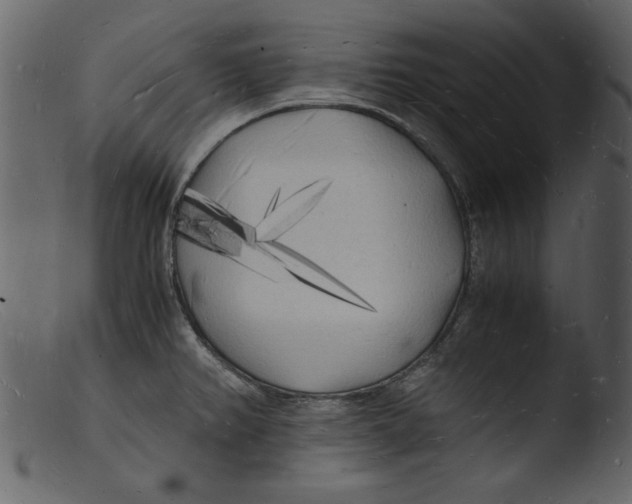 X0000103291382200809261239