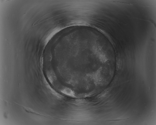 X0000103291383200809261239