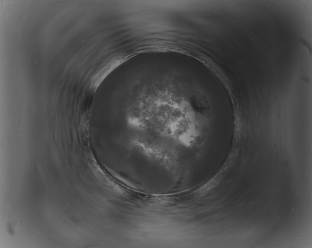 X0000103291385200809261239