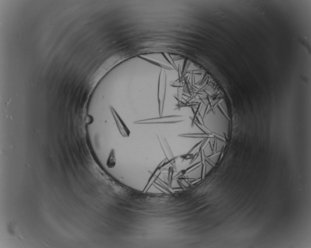 X0000103291386200809261239