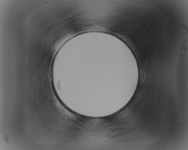 X0000103291387200809261239