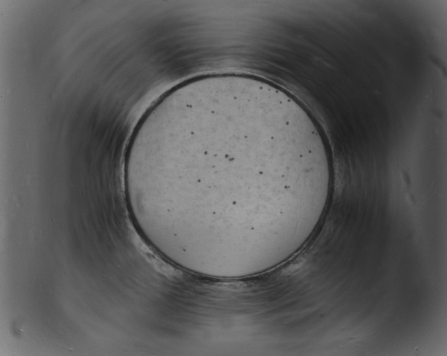 X0000103291388200809261239