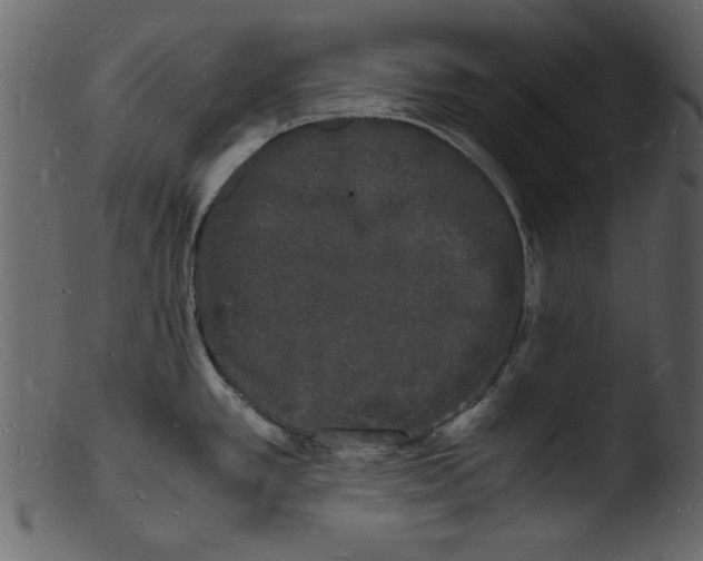 X0000103291389200809261239