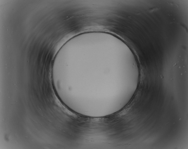 X0000103291390200809261239