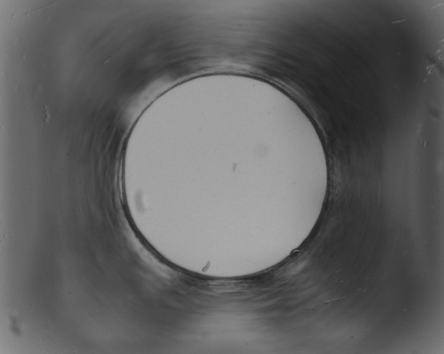 X0000103291391200809261239