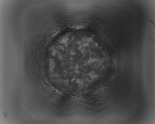 X0000103291393200809261238