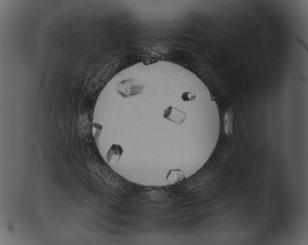 X0000103291395200809261238