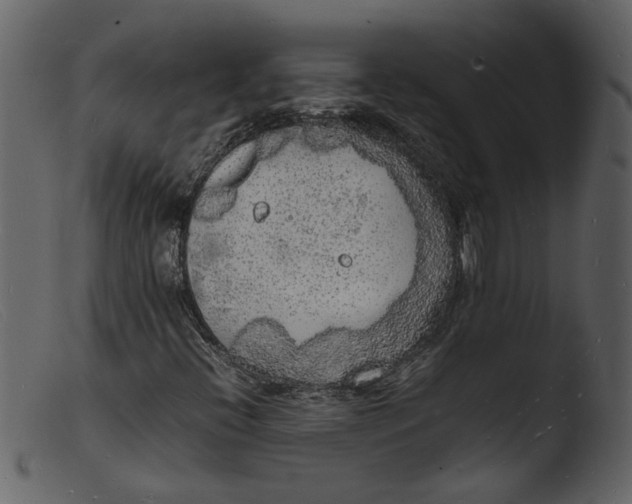 X0000103291396200809261238