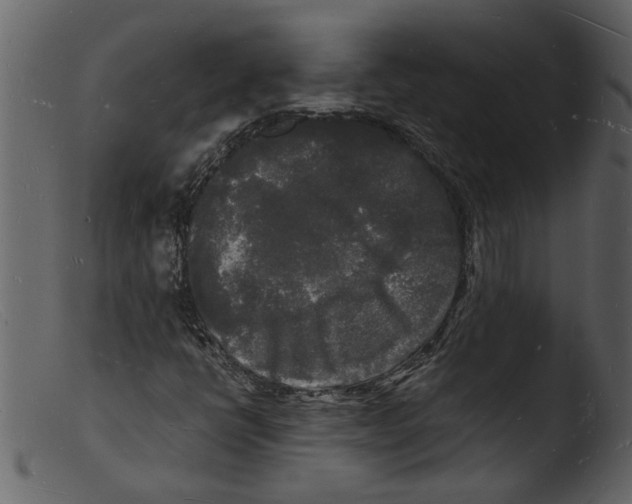 X0000103291398200809261239