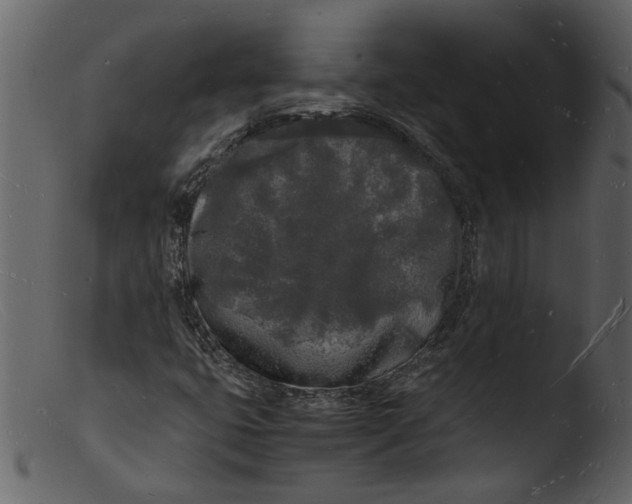 X0000103291399200809261239