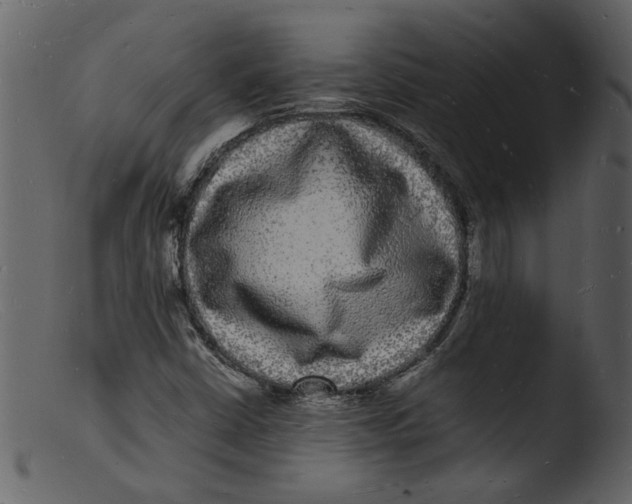 X0000103291402200809261239