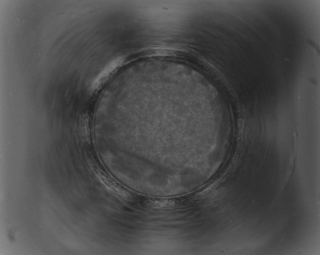 X0000103291403200809261239