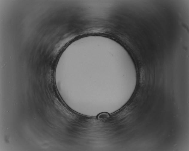 X0000103291404200809261239