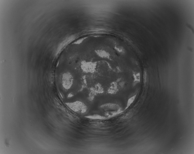 X0000103291405200809261239