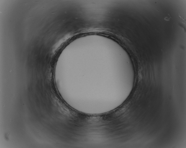 X0000103291406200809261239