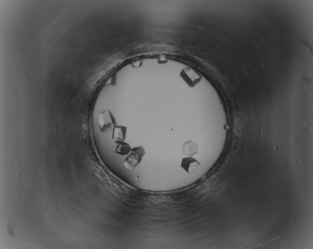 X0000103291407200809261239