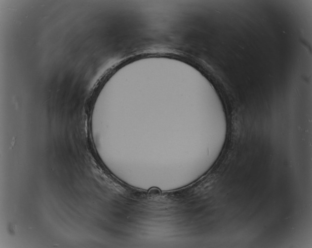 X0000103291408200809261239