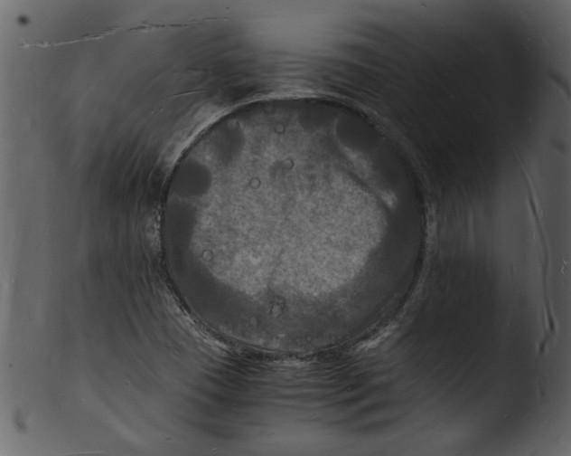 X0000103291409200809261239