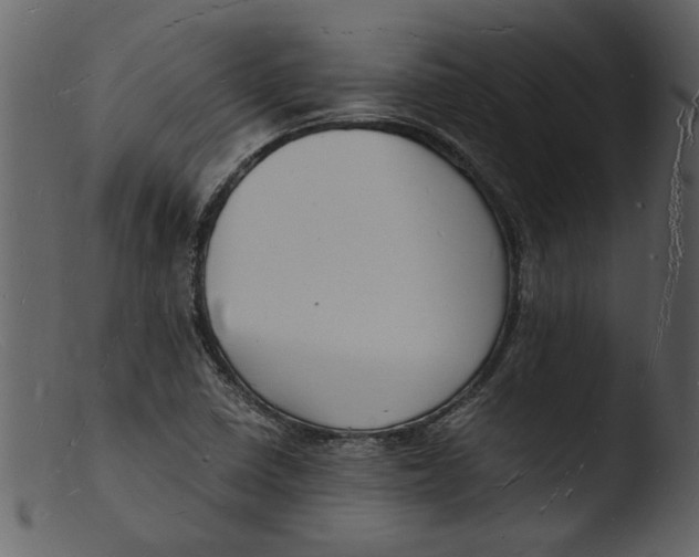 X0000103291410200809261239